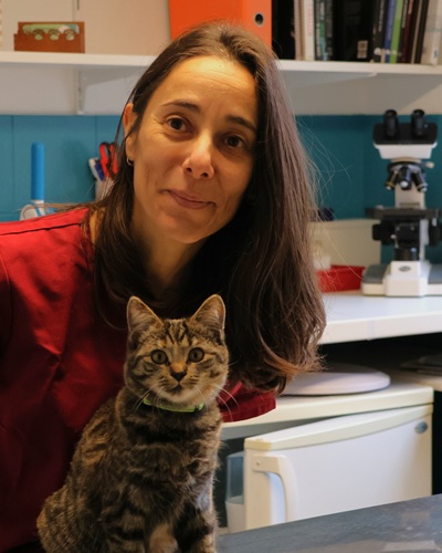 chat en consultation